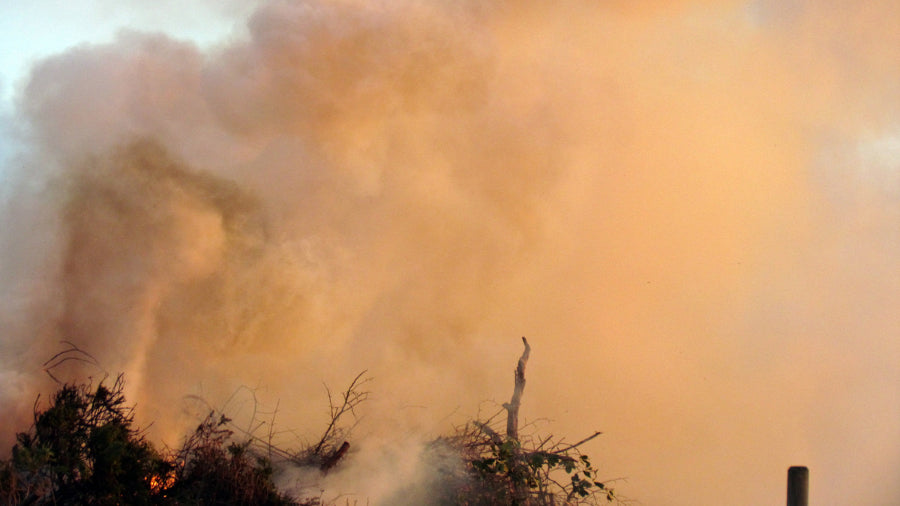 Lessons from the 2025 Los Angeles Wildfires: How eBikes Are Key to Sustainability and Emergency Response