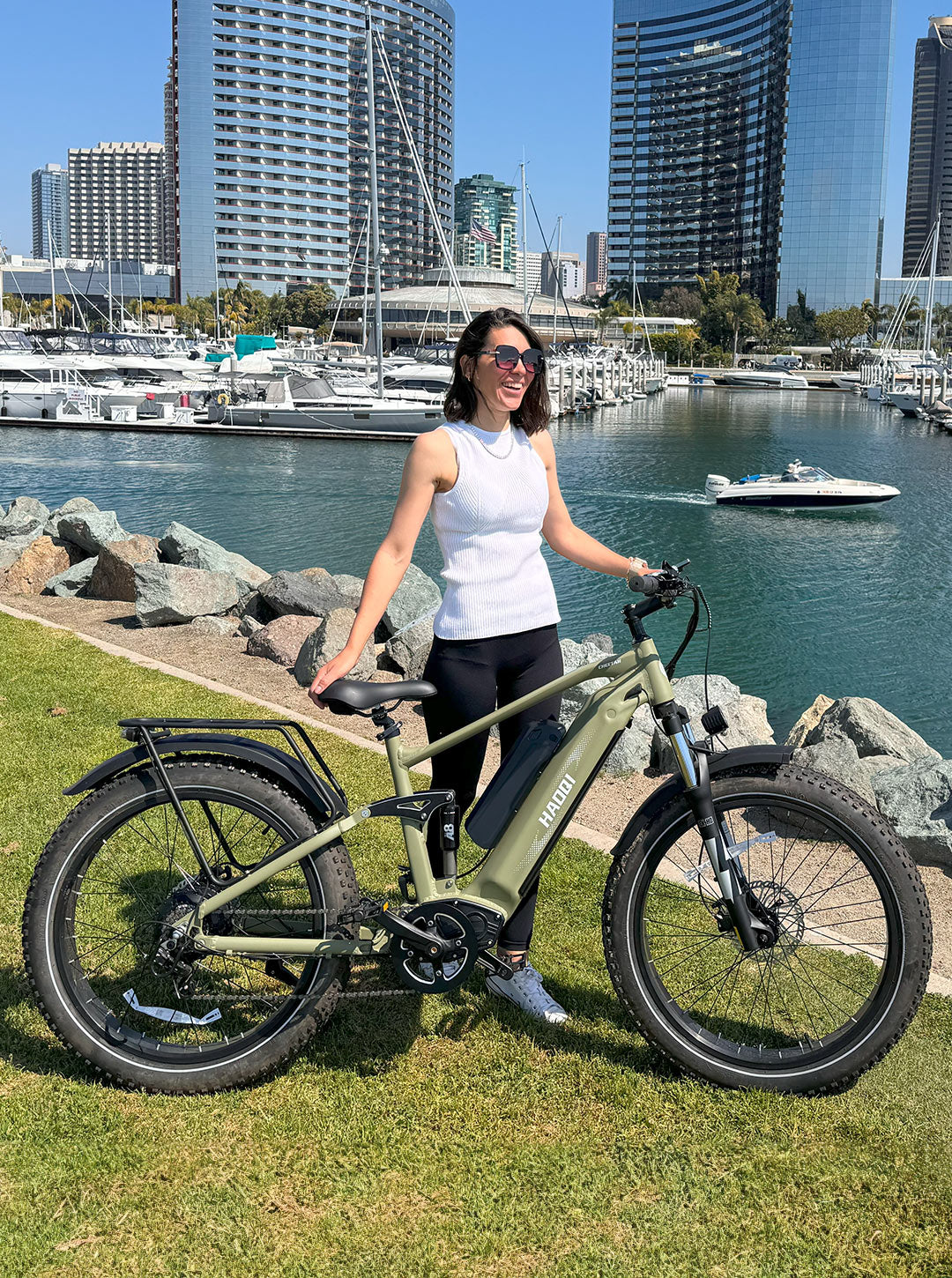 electric bicycle ebike