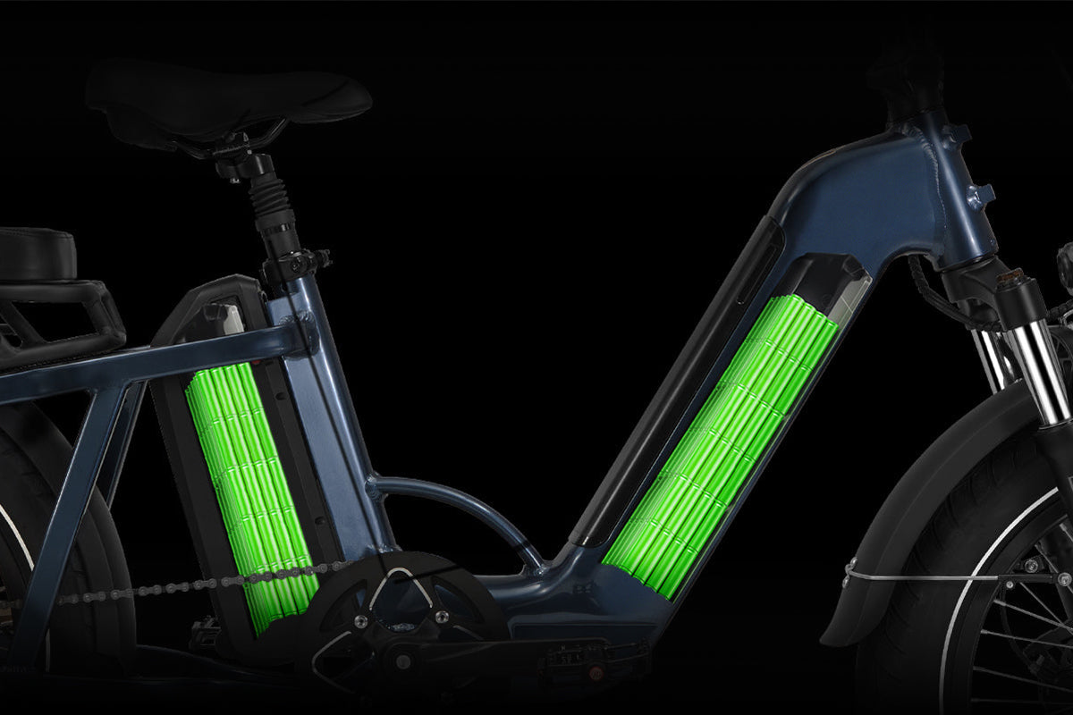 haoqi ebike dual battery