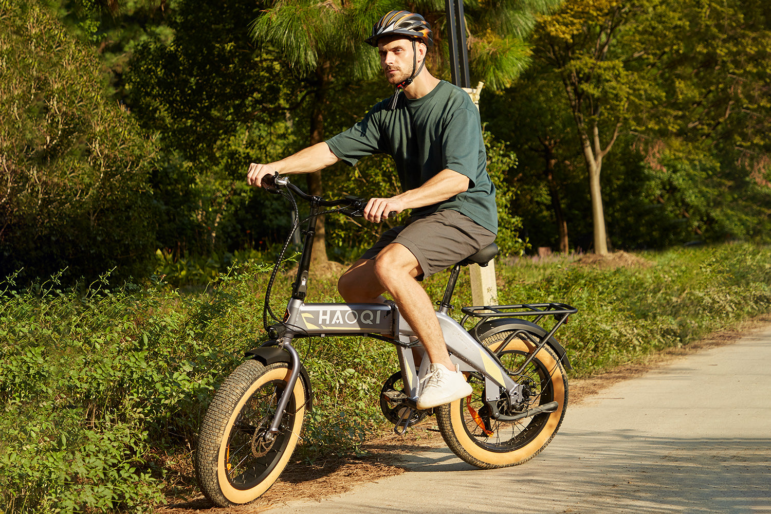 HAOQI Squirrel Folding Electric Bike