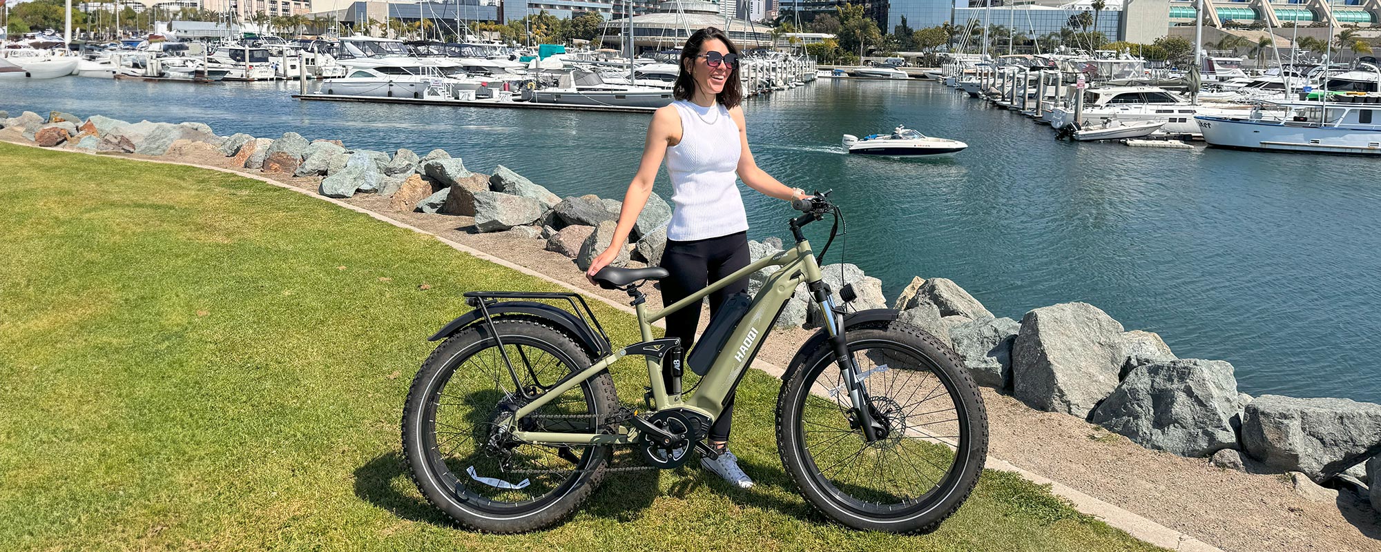 electric bicycle ebike