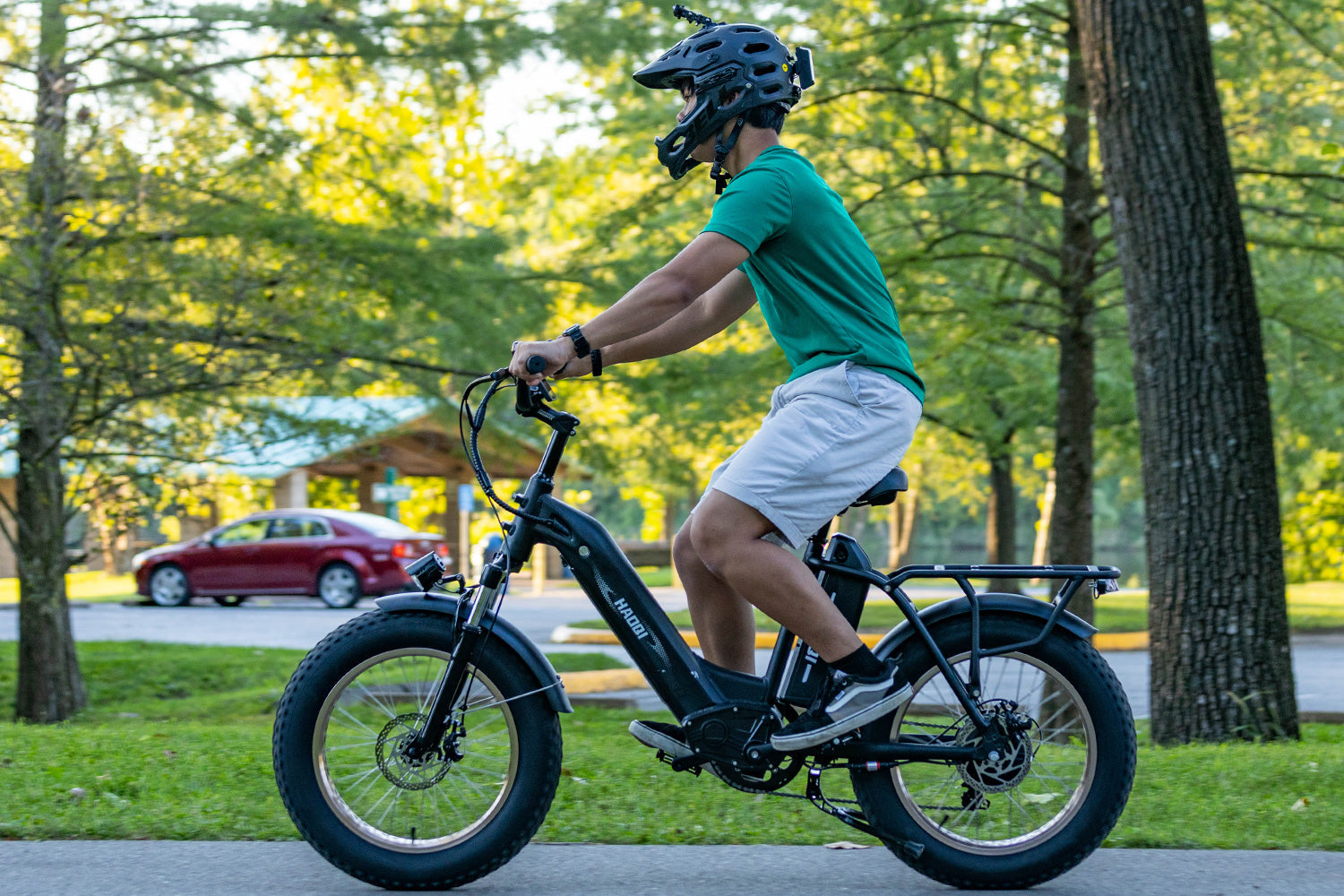 HAOQI Antelope Pro 750W Cargo Electric Bike