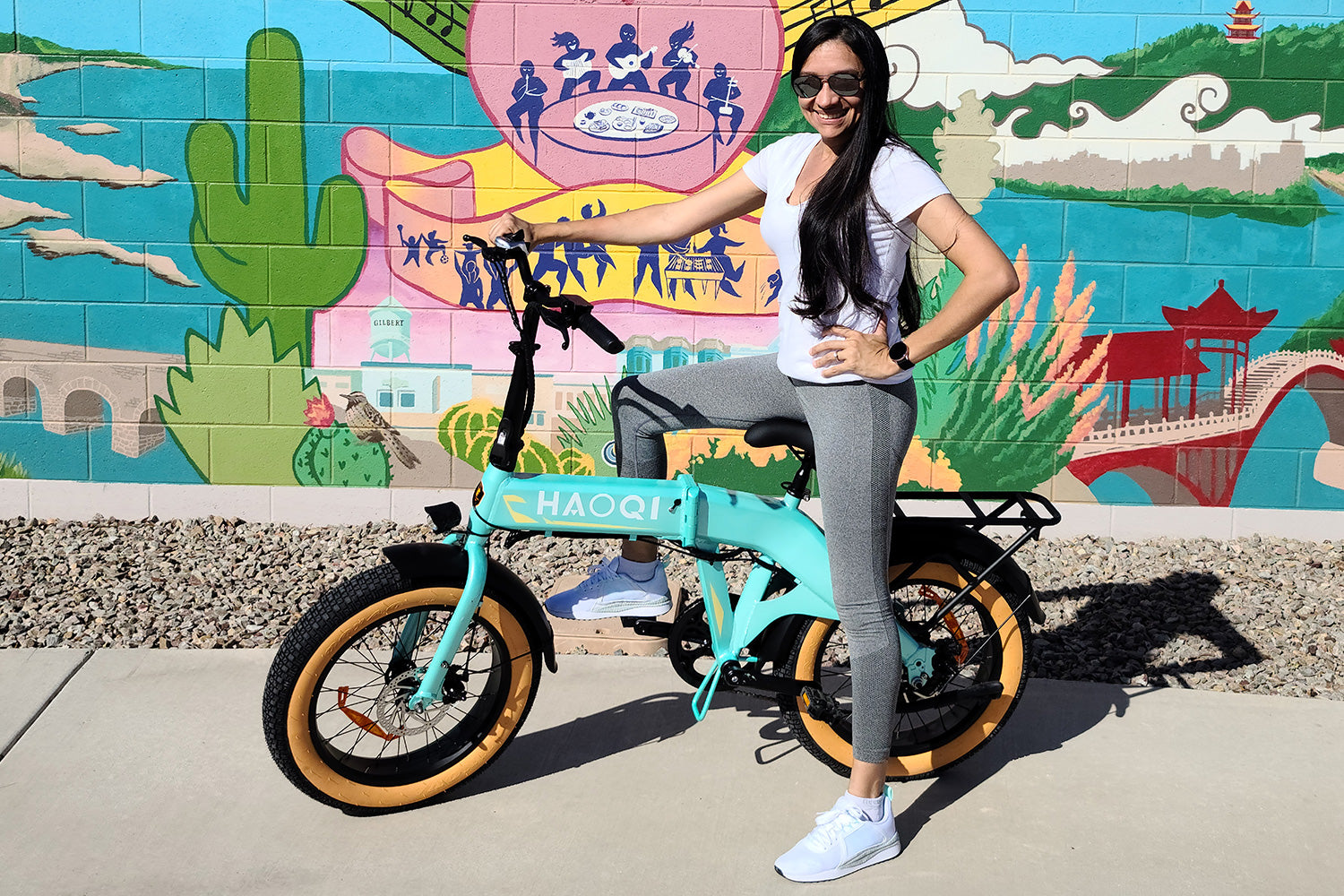 HAOQI Squirrel Folding Electric Bike