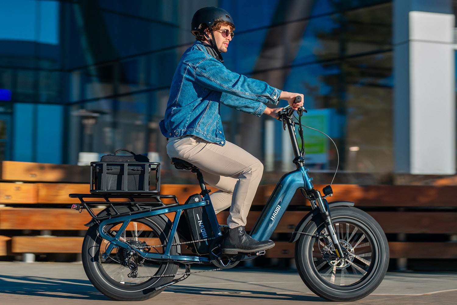 HAOQI Camel Electric Cargo Bike 