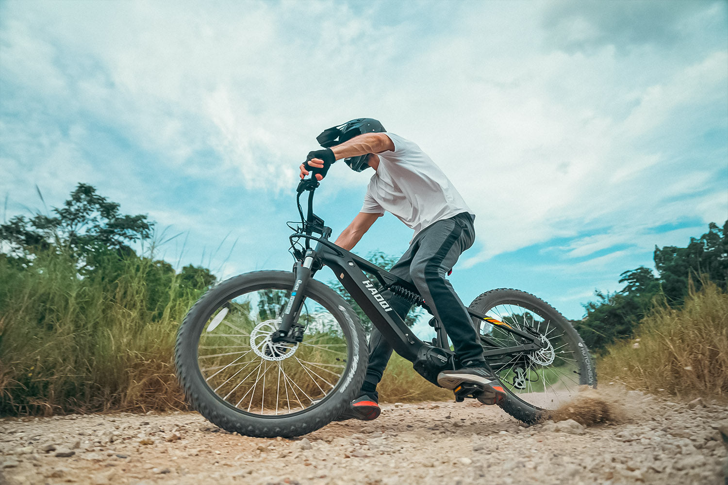 HAOQI Mustang Premium Electric Mountain Bike