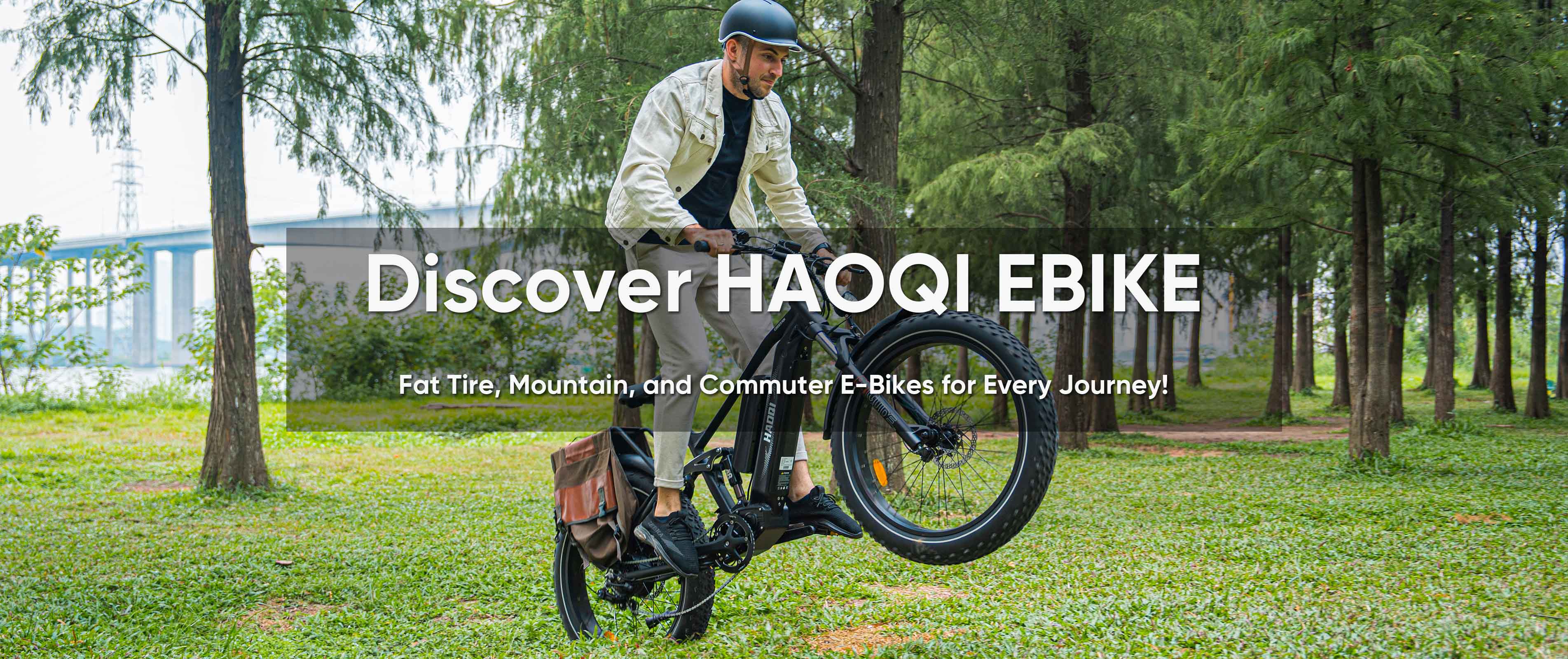 HAOQI EBIKE - Fat Tire, Mountain, and Commuter E-Bikes for Every Journey!
