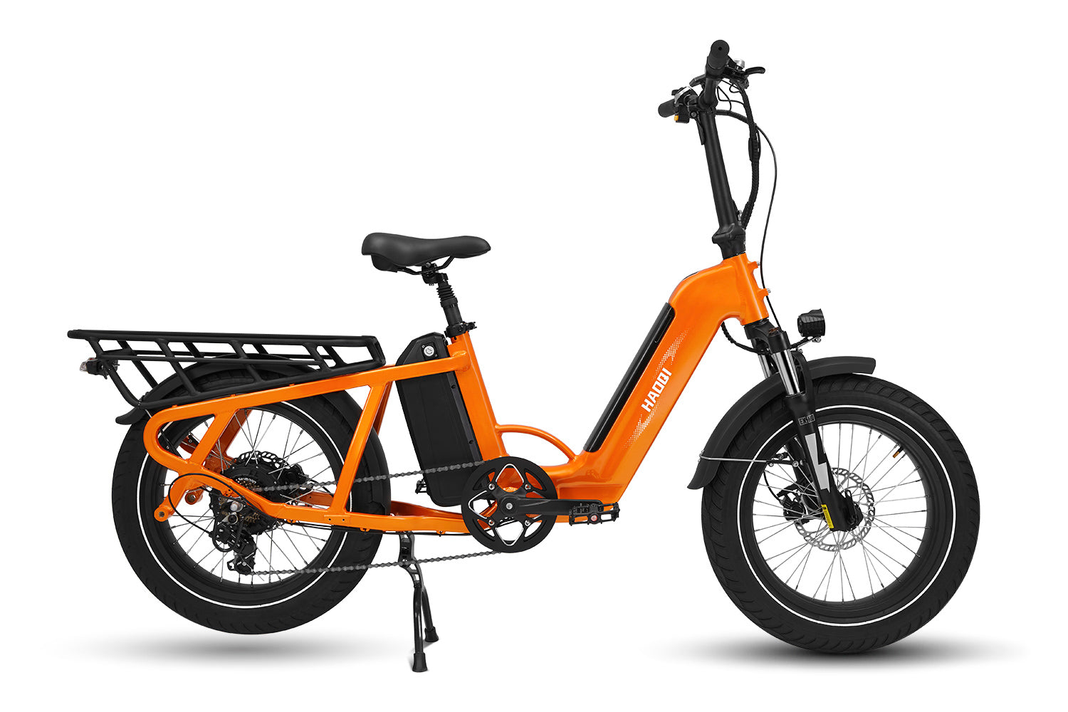 HAOQI Camel Electric Cargo Bike