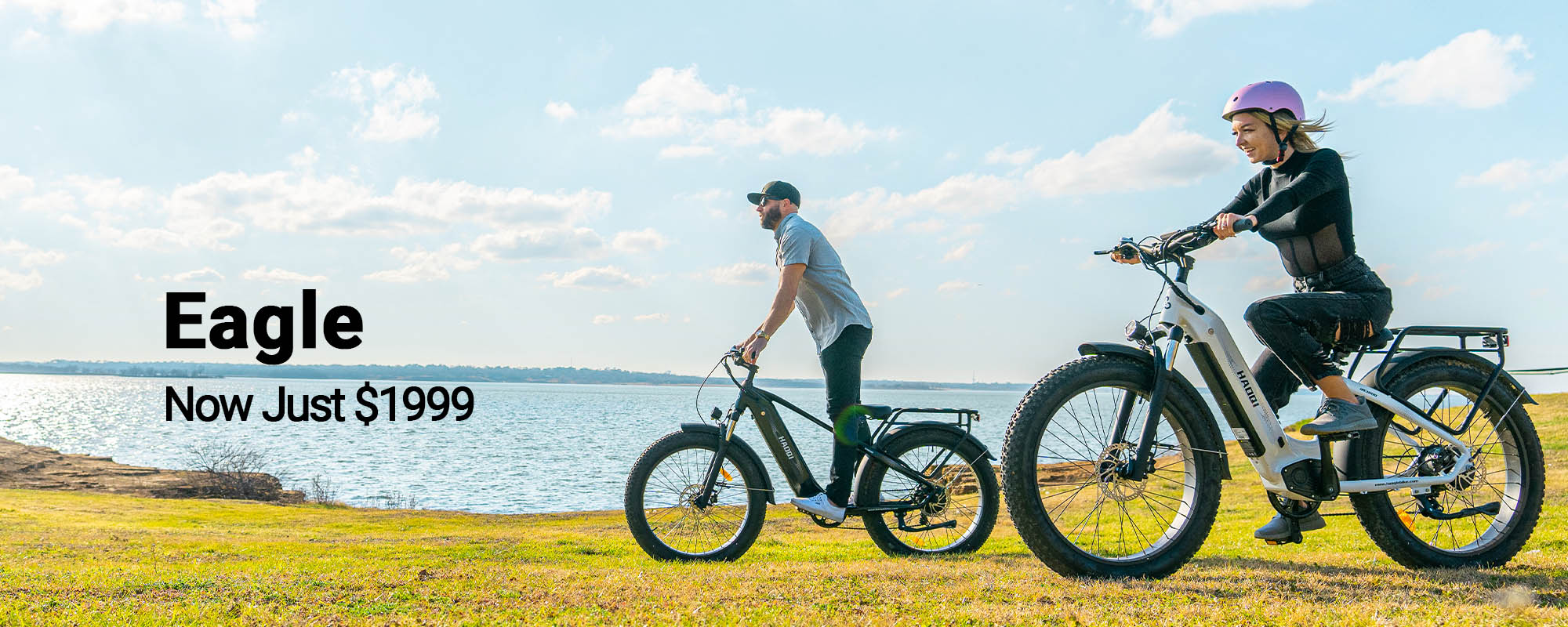 HAOQI LONG RANGE fat tire ebike