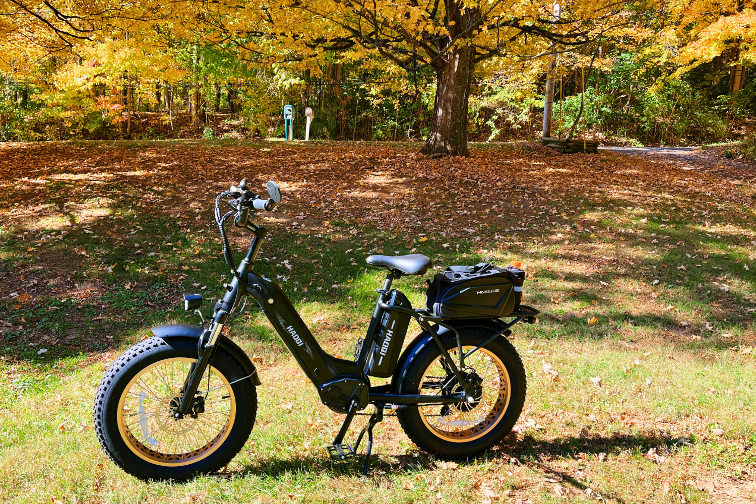 HAOQI Antelope Pro 750W Cargo Electric Bike