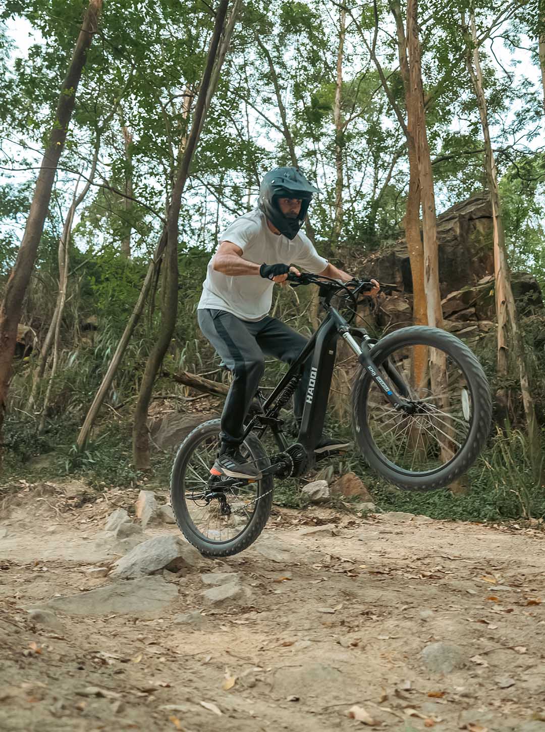 haoqi best electric mountain bike