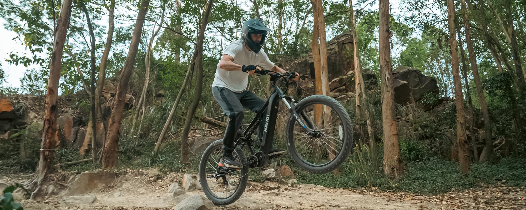 HAOQI best electric mountain bike