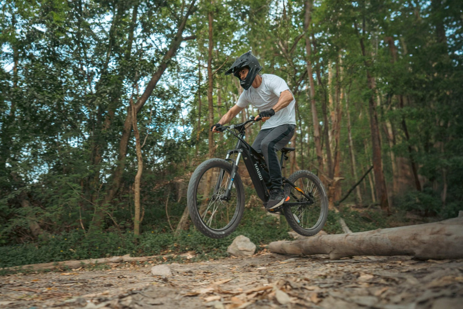 Mustang Premium Electric Mountain Bike