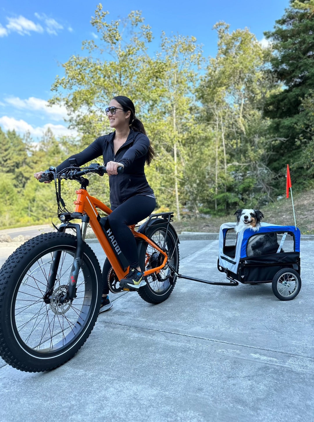 haoqi electric bike for adults