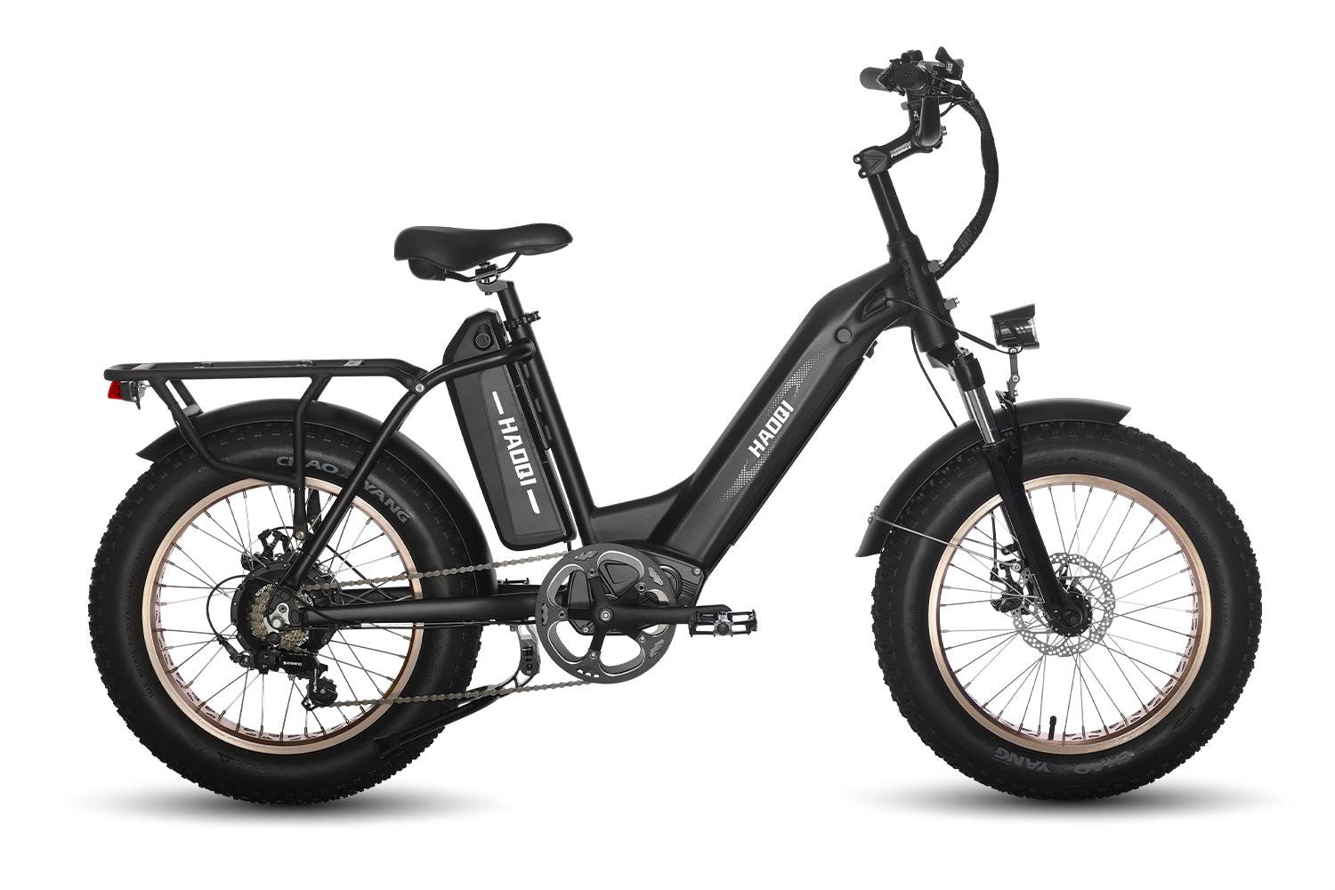 HAOQI Antelope Pro 750W Cargo Electric Bike